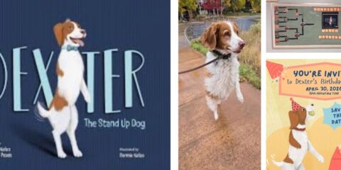 2026 Nonfiction March Madness Winner